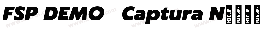 FSP DEMO   Captura N字体转换